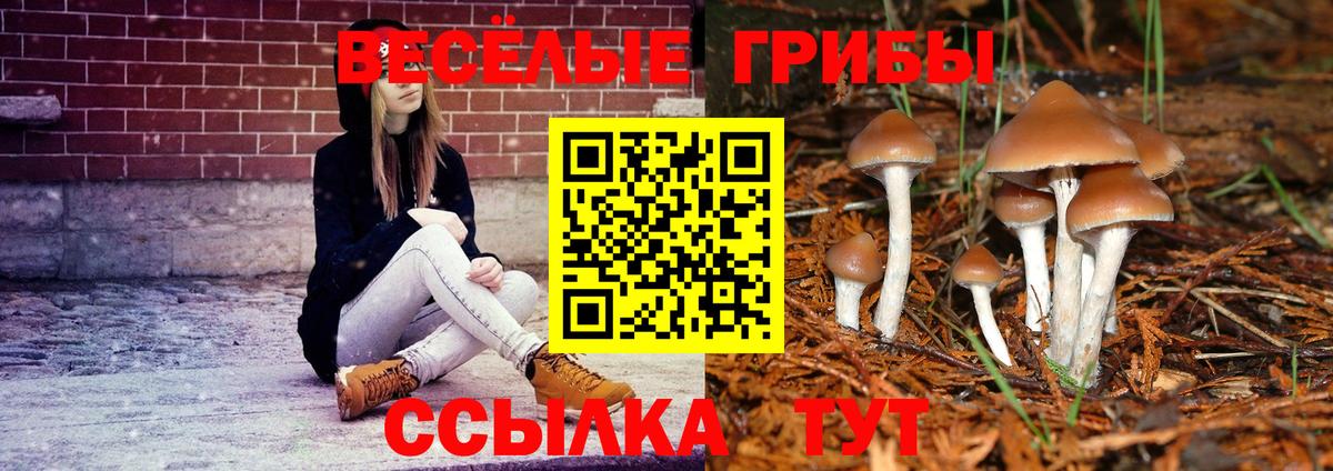 Галлюциногенные грибы ЛСД  Вход с VPN  Павлово 