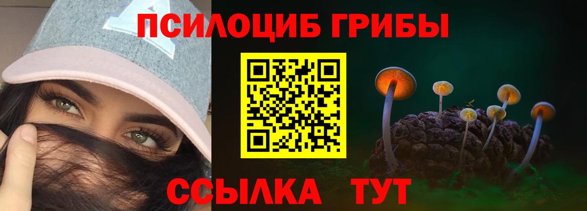 Галлюциногенные грибы Magic Shrooms Павлово